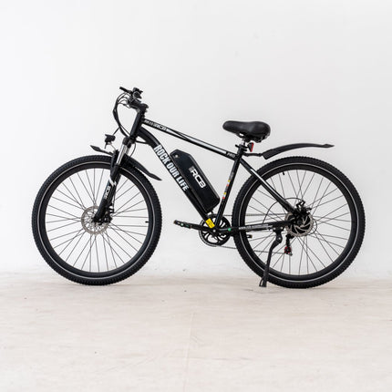 RCB RK15PRO E-Bike