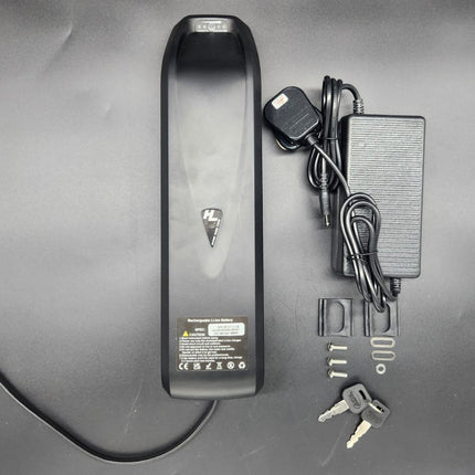 36V 13AH Hailong Battery