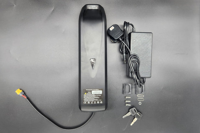 36V 13AH Hailong Battery