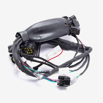 Surron LBX Off Road Full Wiring Loom