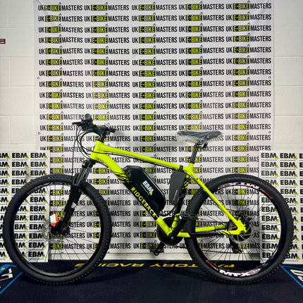 Ridgeback 250W 48V 13AH L