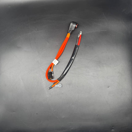 Surron Light Bee Power Harness 2024 Version