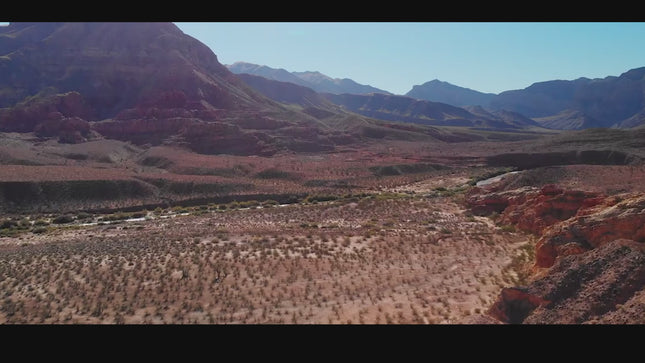 RCB D5PRO Folding E-Scooter