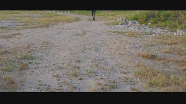 RCB D7 Folding E-Scooter